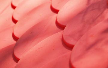 Raygill plastic roof costs