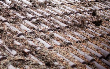 Raygill roof cleaning companies