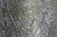 Raygill fibreglass roof work